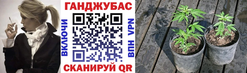 Продажа наркотиков Коммунар КОКАИН  Псилоцибиновые грибы  МАРИХУАНА  АМФ  Гашиш  Альфа ПВП 