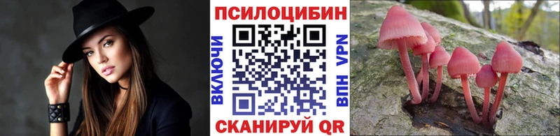 Псилоцибиновые грибы ЛСД  что такое   Коммунар 